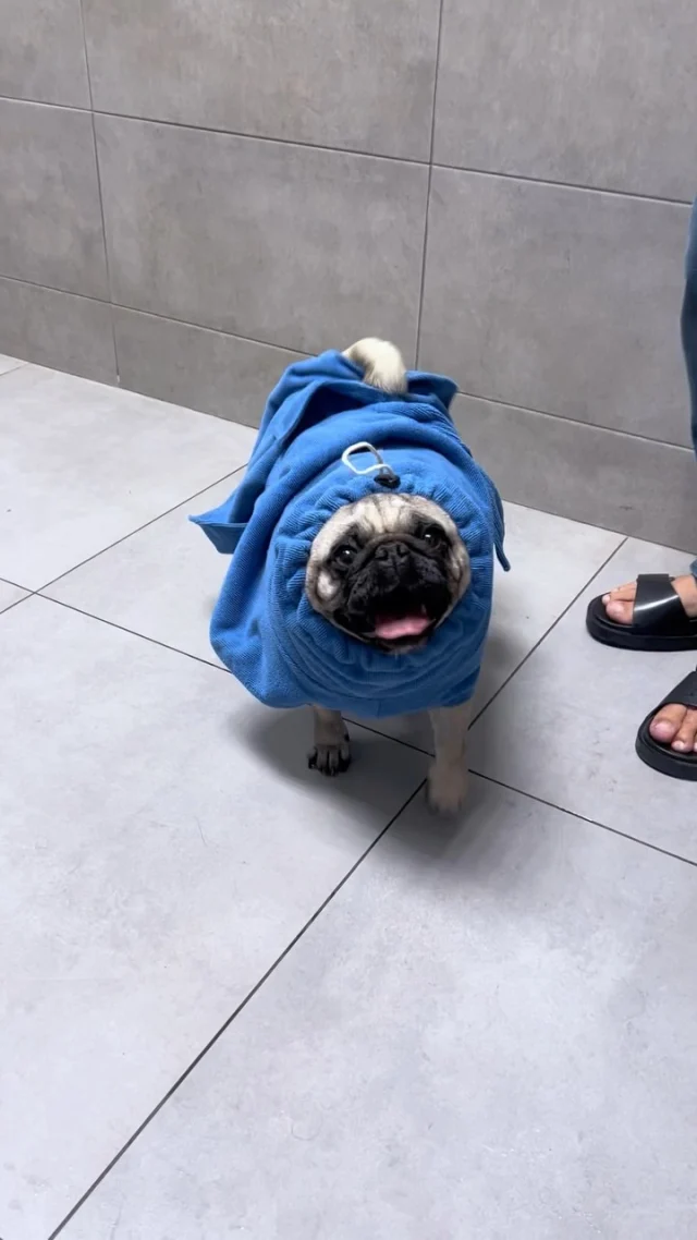 Szybki przegląd gangu pacjenciaków 🐱🐶❤️