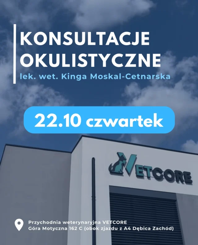 Okulista w Vetcore 🐶👁️ 22 października w naszej przychodni odbędą się konsultacje z lek.wet. Kingą Moskal-Cetnarską 🩺 
rezerwacja wizyty telefonicznie lub w wiadomości prywatnej ☎️